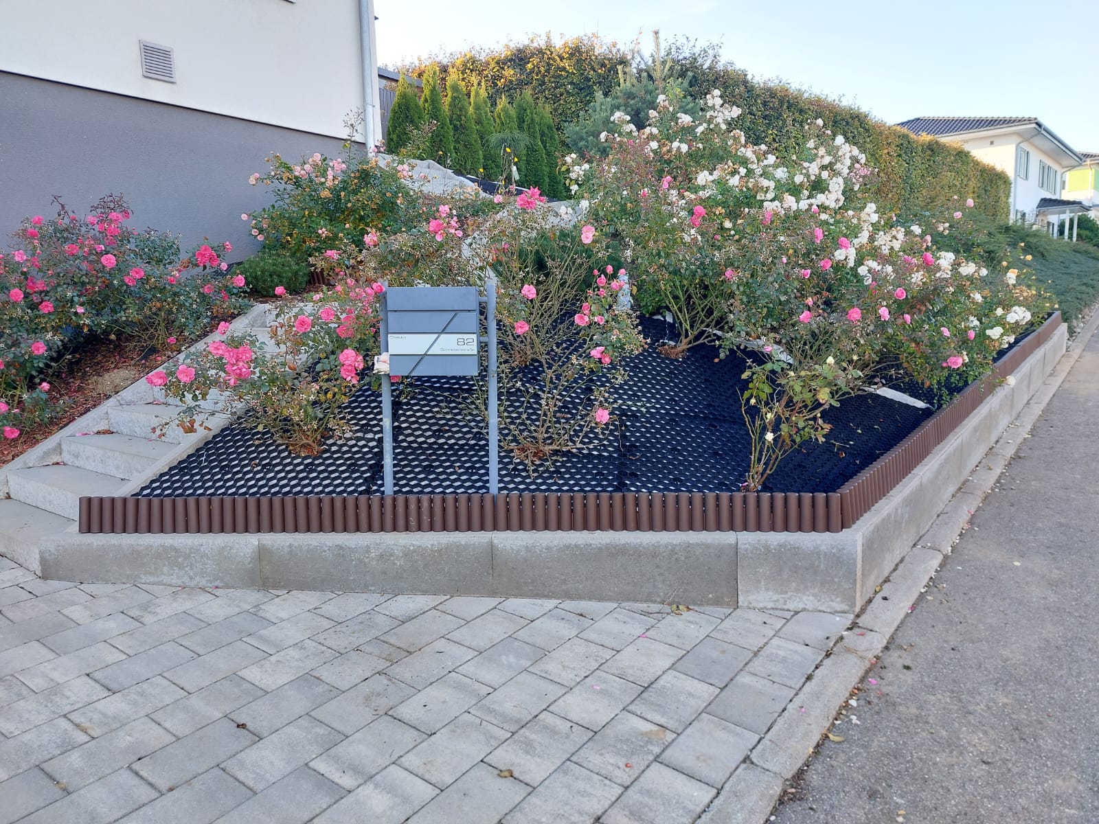 Gepflegter Vorgarten mit blühenden Rosen und stabiler Hangbefestigung.